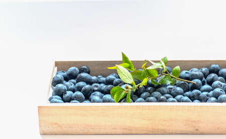 Fresh blueberries in a wooden box isolated on white backgroundの写真素材