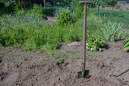 Soil with shovel. Close-up. Shovel in the gardenの写真素材