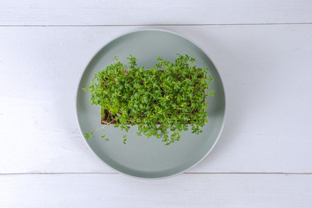 Microgreen watercress salad on a plate on a white backgroundの写真素材