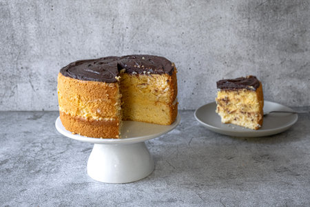 Chocolate Boston cream pie on a gray backgroundの写真素材