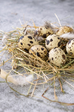 Fresh quail eggs. Rustic styleの写真素材