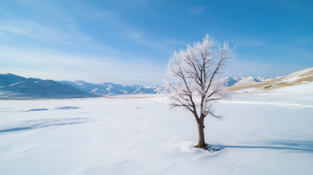 Icy branches of a lone tree sparkling on snowy terrain, under vast winter skyの素材