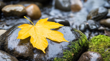 Autumn leaf in vivid yellow lying on a damp mossy rock, serene nature still lifeの素材