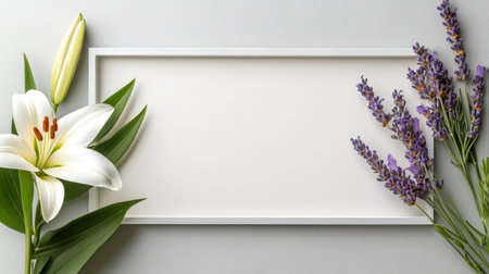 Minimalist light gray frame with elegant lily and sprigs of lavenderの素材