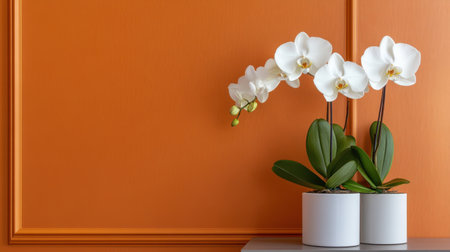 Rich orange tones contrast a metallic gold frame with white orchidsの素材