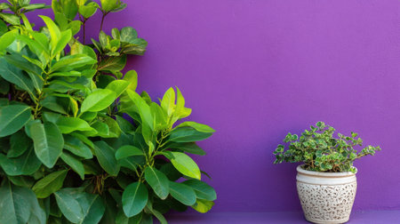 A lively scene of greenery contrasting with a vibrant purple wallの素材