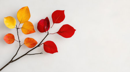 Minimalist composition of red and yellow leaves on sparse branches, symbolic of quiet fall beautyの素材