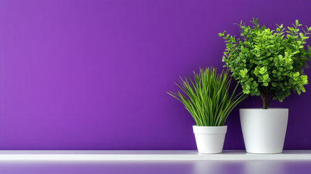Potted greenery in a chic arrangement set before a rich purple backgroundの素材