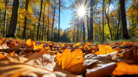 Acrylic artwork of forest floor covered in autumn leaves, sunlit trees aboveの素材