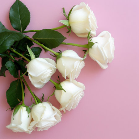 A stunning arrangement of elegant white roses complemented by vivid green leaves, all set against a soft pink background, perfect for floral themes.の素材