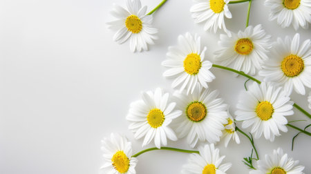 A beautiful arrangement of white daisies with bright yellow centers against a soft neutral background. This image evokes feelings of freshness and tranquility.の素材