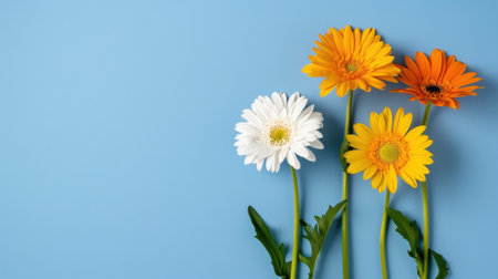 A captivating arrangement of vibrant flowers featuring white, yellow, orange, and green hues set against a soft blue background, perfect for seasonal themes.の素材
