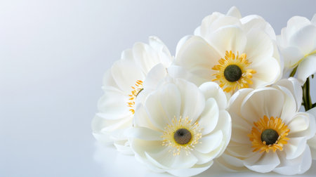 A stunning arrangement of white flowers with yellow centers displayed on a soft background, capturing the essence of natural beauty and elegance.の素材