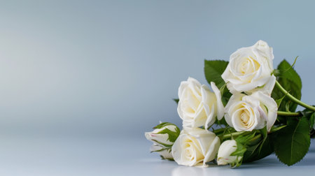 A delicate composition featuring white roses with lush green leaves against a soothing blue backdrop. Ideal for themes of love, beauty, and elegance.の素材