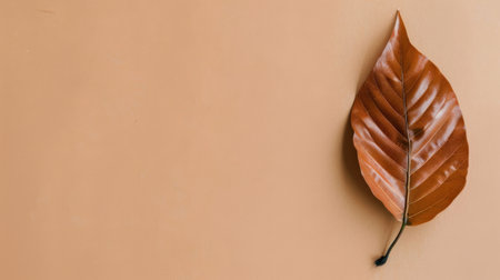 This image displays a single brown dry leaf elegantly placed on a soft beige background, capturing a moment of nature's beauty with a minimalist aesthetic.の素材