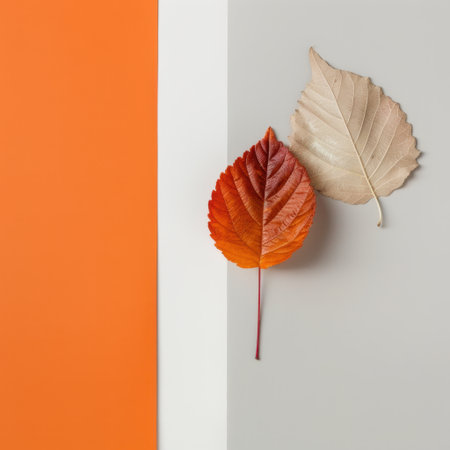 Vibrant autumn leaves in orange and beige tones lie elegantly on a geometric background of orange, grey, and white colors, perfect for design projects.の素材