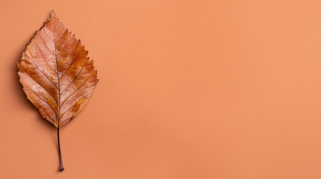 A close-up view of a single brown leaf rests on a smooth orange background, capturing the essence of autumn with its rich texture and warm hues.の素材