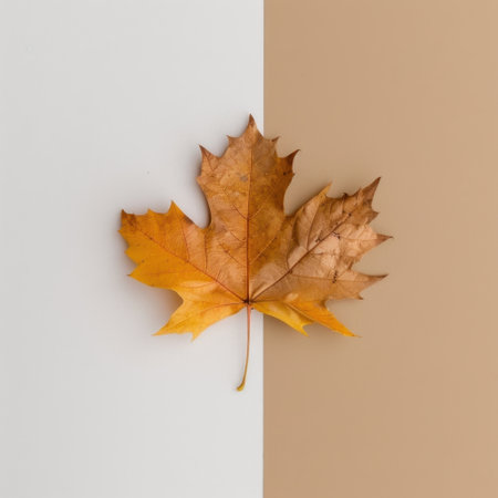 This image features a single autumn leaf in warm orange hues, elegantly placed on a neutral beige and white background. Perfect for seasonal themes.の素材