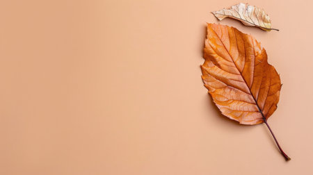 A captivating display of two brown leaves arranged on a soft peach background, evoking feelings of autumn and tranquility perfect for nature-inspired designs.の素材