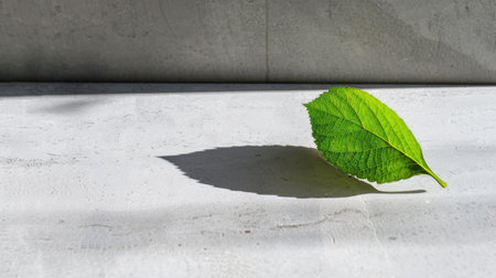 A single green leaf rests on a gray surface, casting a delicate shadow under natural light. This minimalist image captures the beauty of nature, ideal for eco-friendly themes.の素材