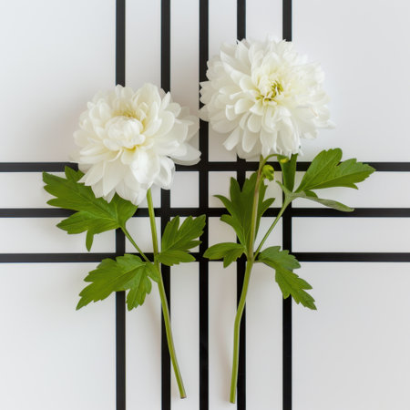 Delicate white flowers with green leaves arranged on a minimalistic background featuring geometric lines, perfect for design projects and decoration ideas.の素材