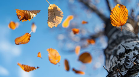 Captivating autumn scene featuring vibrant orange leaves gracefully falling from a tree against a bright blue sky. A perfect representation of nature's beauty.の素材
