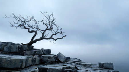 A solitary leafless tree stands on a rugged rocky shore, set against a dramatic cloudy sky. The scene evokes a sense of peace and isolation in nature.の素材