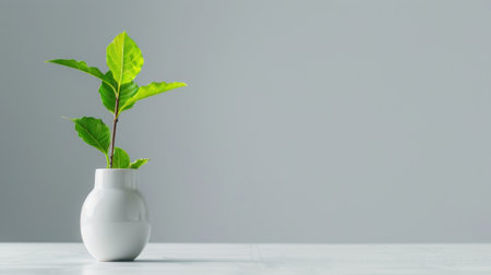 A striking image of a fresh green plant in a sleek white vase, showcasing modern design and tranquility, perfect for interior decoration and wellness themes.の素材