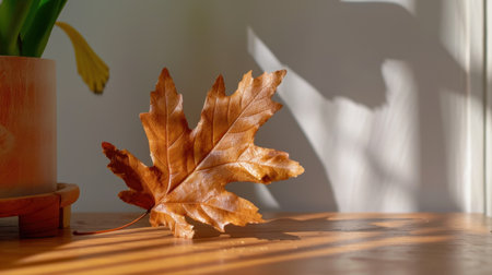 A single brown autumn leaf rests gracefully on a polished wooden surface, illuminated by soft sunlight, casting delicate shadows that add warmth and tranquility to the scene.の素材