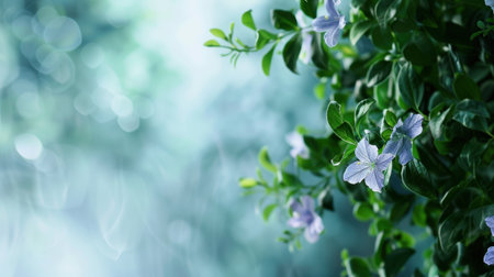 A mesmerizing display of delicate blue flowers intertwined with lush green leaves, set against a soft and dreamy background that evokes tranquility and beauty.の素材