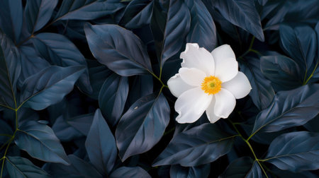 A stunning composition featuring a single white flower with a yellow center, elegantly placed among rich dark green leaves, creating a serene natural harmony.の素材