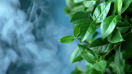 A captivating image featuring lush green leaves against a soft blue background, with hints of smoke, creating a serene and tranquil environment, perfect for nature themes.の素材