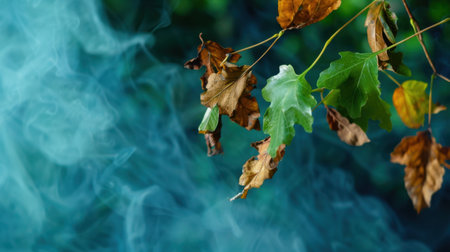 This captivating image features a contrast of lush green leaves and dry brown ones intertwined with wispy smoke, creating an ethereal atmosphere.の素材