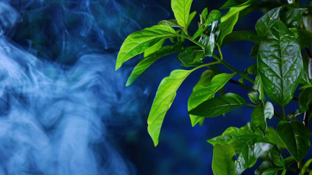 A captivating image of fresh green leaves contrasted against a calming blue background, with gentle smoke weaving through the scene, evoking tranquility.の素材