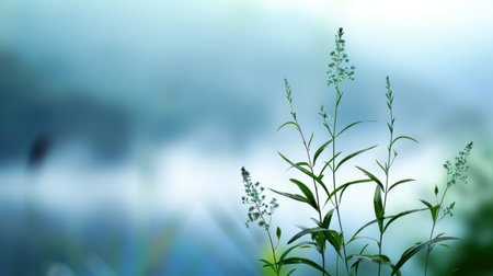 A captivating image showcasing delicate green grass stalks rising gracefully against an ethereal blurred background, evoking tranquility and a sense of peace.の素材