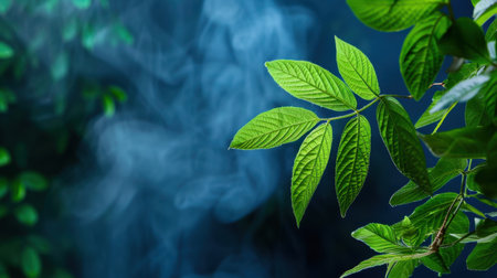 This image captures a close-up of fresh green leaves against a softly blurred blue background with gentle smoke, creating a serene and tranquil atmosphere.の素材