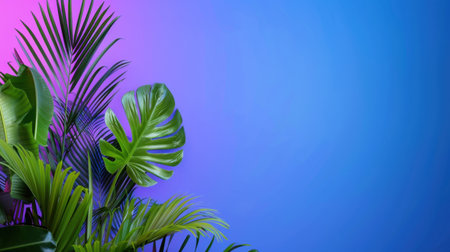 A stunning composition of tropical foliage in vivid colors creates a captivating backdrop. The gradient background transitions from purple to blue, offering a fresh and artistic ambiance suitable for nature-themed designs.の素材