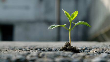 A vibrant green plant emerges from cracks in a cement surface, symbolizing nature's resilience and ability to thrive in urban settings.の素材
