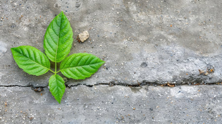A vibrant green leaf emerges from a rough concrete surface, symbolizing resilience and growth in an urban environment, highlighting nature's beauty.の素材