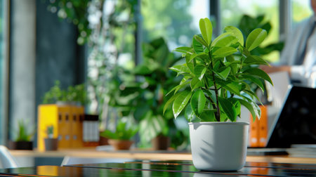 A vibrant green potted plant sits gracefully on a desk in a modern office, surrounded by lush foliage and bathed in natural light, creating a serene atmosphere.の素材