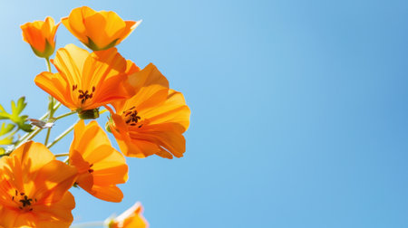 A stunning display of vibrant orange flowers contrasts beautifully with a clear blue sky, creating a serene and uplifting spring scene perfect for nature lovers.の素材