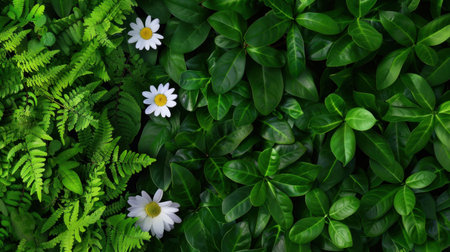A captivating arrangement of lush green foliage featuring vibrant leaves and white daisies, perfect for conveying serenity and natural beauty in design.の素材