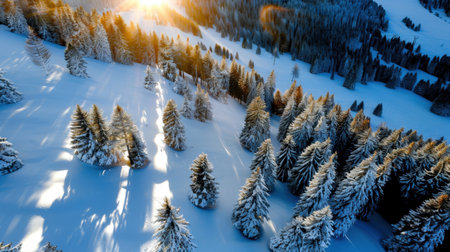 A breathtaking aerial view of a winter landscape showcasing snow-covered evergreen trees with golden sunlight illuminating the scene, creating a tranquil atmosphere.の素材
