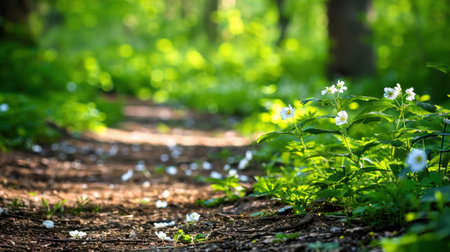 A serene forest pathway showcases blooming white flowers along a sunlit trail, enveloped by vibrant greenery, inviting exploration and reflection.の素材