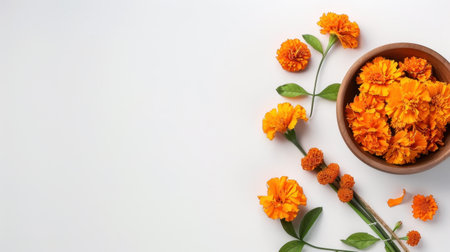 This image showcases a beautiful arrangement of fresh orange marigold flowers in a wooden bowl, surrounded by vibrant blooms on a clean white background, perfect for nature lovers.の素材