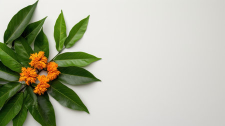 A stunning arrangement of bright orange flowers nestled among lush green leaves on a light background, perfect for capturing the essence of nature's beauty.の素材