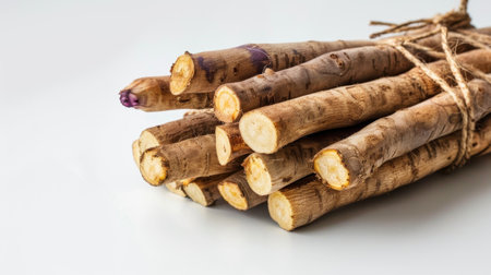 A bundle of freshly harvested root vegetables showcases unique textures and colors. Tied with natural twine, this image highlights organic farming and healthy eating choices.の素材