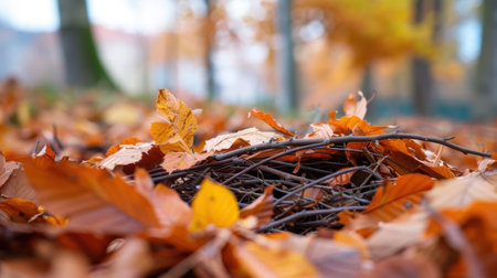 A beautiful autumn scene featuring a variety of colorful leaves and twigs resting on the ground, showcasing the rich textures and warm colors of the season.の素材