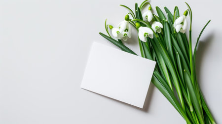 A beautiful arrangement of fresh snowdrop flowers with a blank card on a soft gray background, perfect for greeting concepts, floral designs, or seasonal messages.の素材