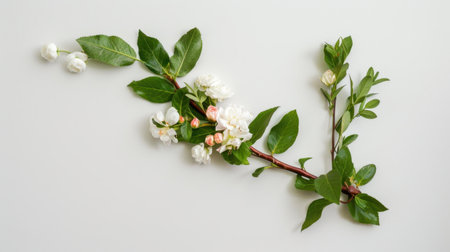 This image showcases a beautiful arrangement of fresh white flowers and vibrant green leaves on a light background, perfect for adding a touch of nature.の素材